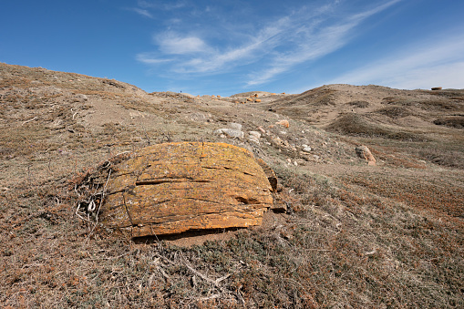Large concretion partially covered with soil in Red Rock Coulee near the town of Seven Persons, Alberta, Canada