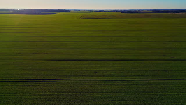 Aerial dolly forward over agricultural field, cloudless blue sky in Latvia