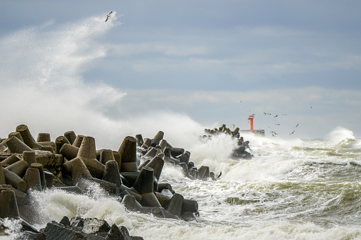 Storm at sea, high waves crashing against the concrete breakwaters of the port, high white splashes, seagulls flying, hurricane storm, power of nature