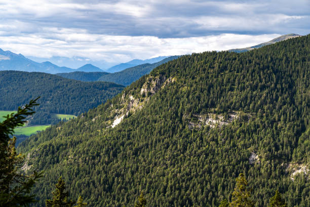 A dense green forest blankets the sloping mountainside, interspersed with rocky outcrops. In the distance, serene blue peaks rise against an overcast sky, creating a harmonious natural tableau.
