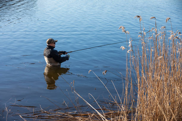istock Fisherman in waders catches pike in the lake 2148872045