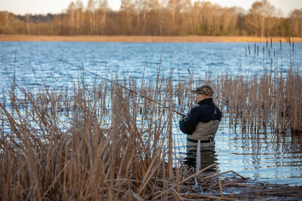 istock Fisherman in waders catches pike in the lake 2148872209