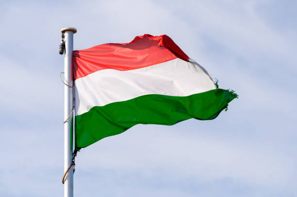 istock Hungarian national flag 2148873147