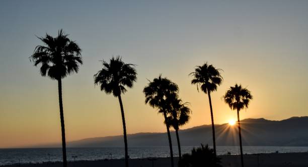 istock Sunset in California 2148873777