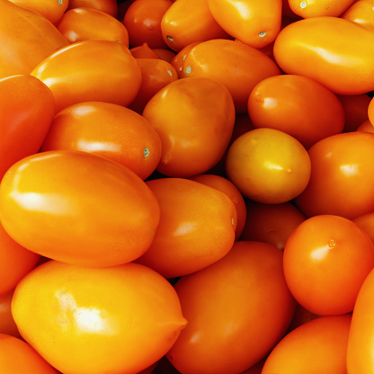 lots of orange plum tomatoes for sale at the outdoor market, natural lighting