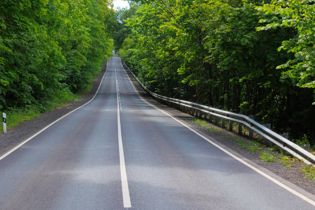 Beautiful empty country asphalt road in the forest