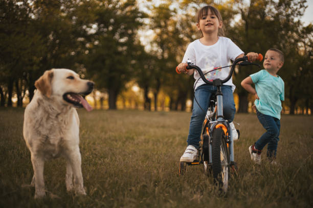 istock Together with his brother and dog 2148875913
