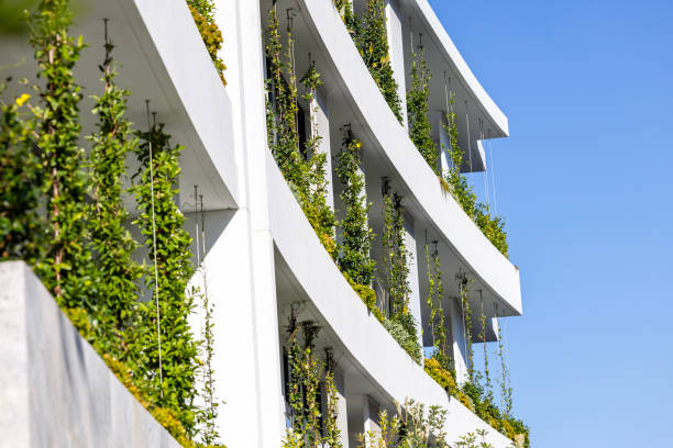 istock Closeup new, modern apartment building with vertical gardens, background with copy space 2148876812