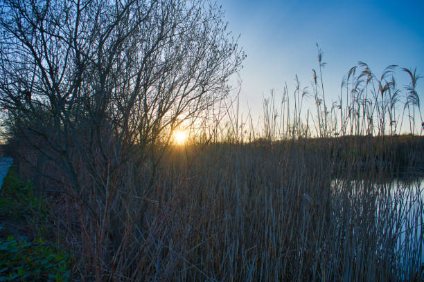 The sun sets over Lily Pond County Park,  Lake Ronkonkoma,  Long Island,  NY.