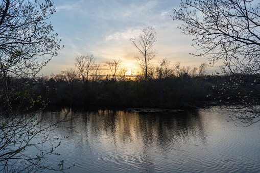 Spring Sunset at Lily Pond County Park #2