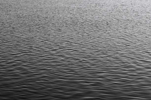 istock the surface of the river 2148879517