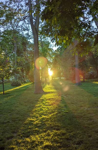 istock Sunset in 