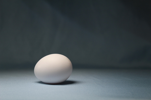 One singular white egg
