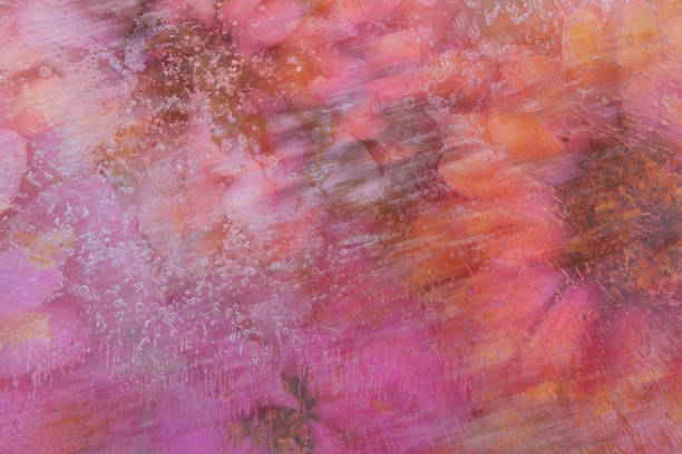 Zinnia flowers in motion blur for abstract floral ice background.