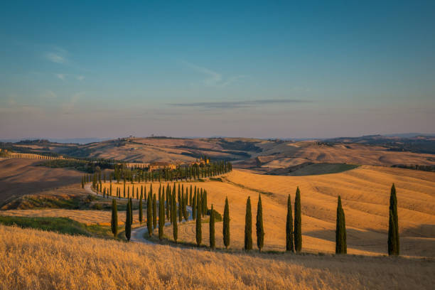 istock Cyprese Allee Tuscany Italy 2148880123