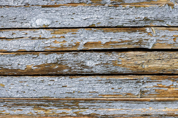 Free picture: decay, wooden, panel, old, paint, retro, carpentry, rough ...