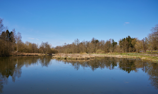 Tranquil view of beautiful calm lake with reflection of trees and clear blue sky during sunny day in forest