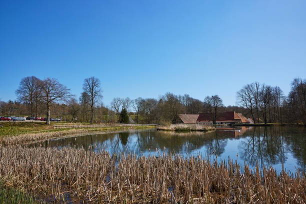 Beautiful view of lake amidst trees and plants with small town in background under clear blue sky on sunny day