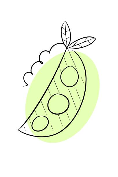 ilustraciones, imágenes clip art, dibujos animados e iconos de stock de linda planta de vaina de guisante dibujos animados imagen de archivo - green pea pea pod vegetable cute