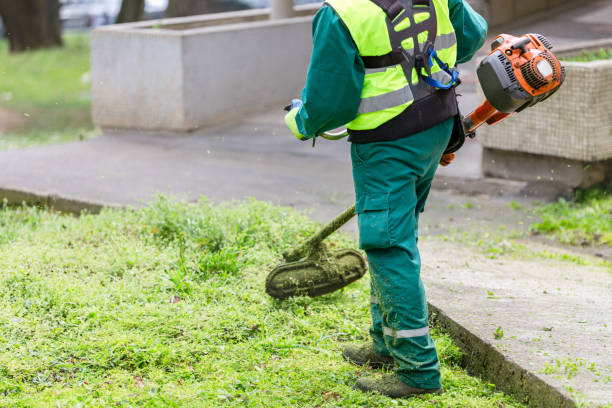 istock Worker trimming grass with lawn trimmer 2148885365