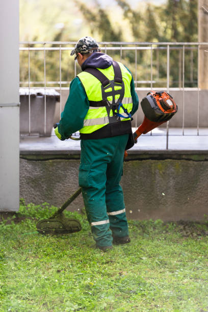 istock Worker trimming overgrown grass with a weed whacker 2148885388