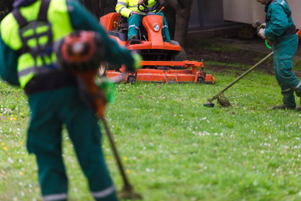 istock Landscapers working with lawn equipment 2148885517