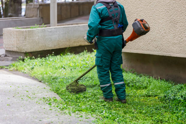 istock Worker trimming grass with lawn trimmer 2148885966