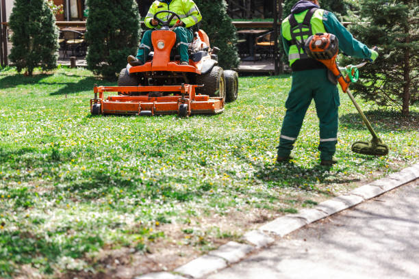 istock Lawn service workers mowing the green grass 2148886256