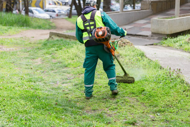 istock Worker trimming grass with lawn trimmer 2148886261