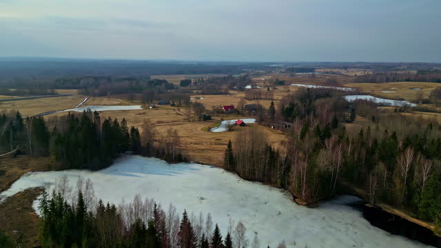Aerial drone fly above frozen small lake between autumn pine trees village field small town in countryside skyline background, autumnal landscape, meadows