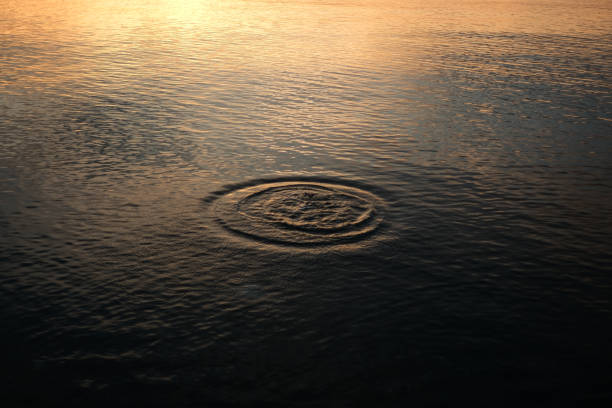 water rings on the yellow-toned sea at sunset