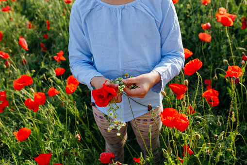 high angle view of child standing in the field of poppies exploring the plants