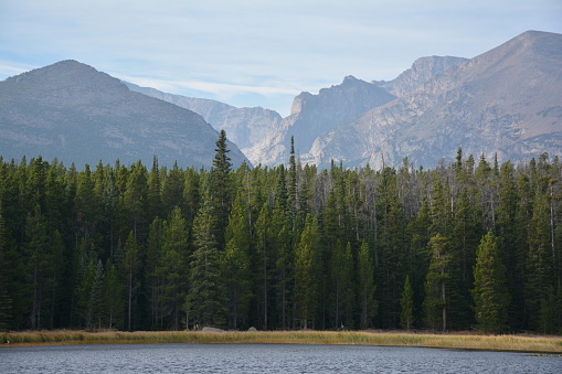 Mountain and Evergreen Forest View from Bierstadt Lake in Rocky Mountain National Park Colorado