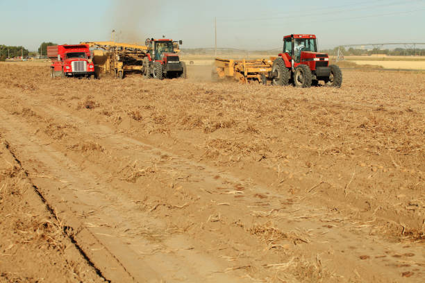 Tractors, trucks, and combines harvesting potatoes in an Idaho farm field.