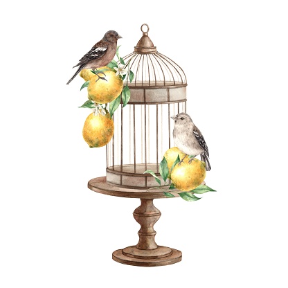 Brown birds, yellow lemons with leaves, bronze cage with stand. Isolated watercolor illustration in vintage style. Handmade composition for interior, cards, wedding design, invitations, textiles