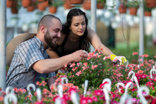 istock Greenhouse manual workers holding crate with flowers 2148896957