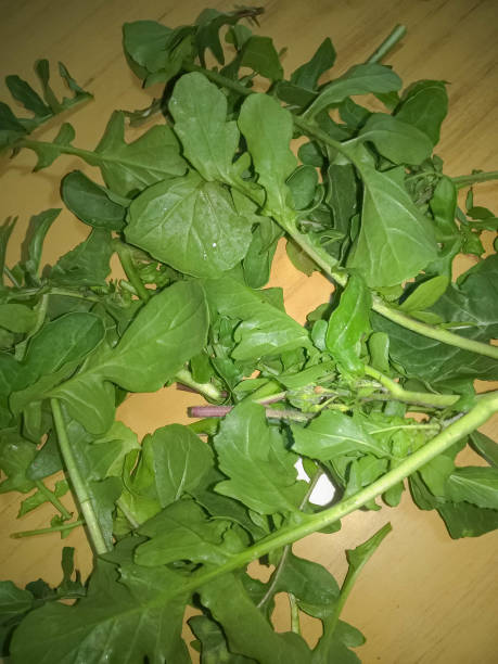 Texture of fresh organic arugula or arugula leaves, healthy and vegan food background stock photo