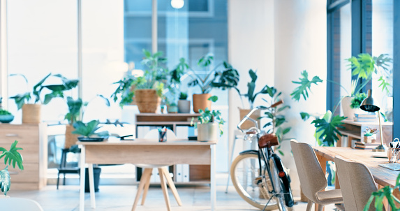 Startup, office and empty interior with furniture, retro bicycle and plants for creative agency. Room, desk and chair with vintage bike, leaves and architecture for workplace design at media company