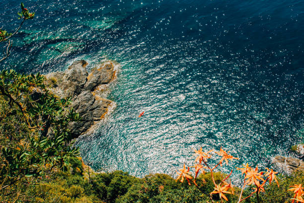 kayaking from high perspective looking down