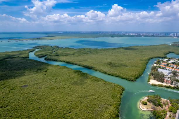 istock Art Garden in Cancun Hotel Zone 2148902595