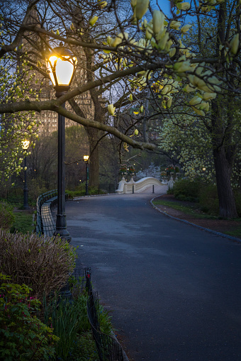 A lantern shines in Central Park before sunrise, with the Bow Bridge in the background