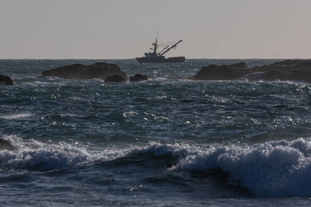 a boat is in the water with a fishing net - the purfleet imagens e fotografias de stock