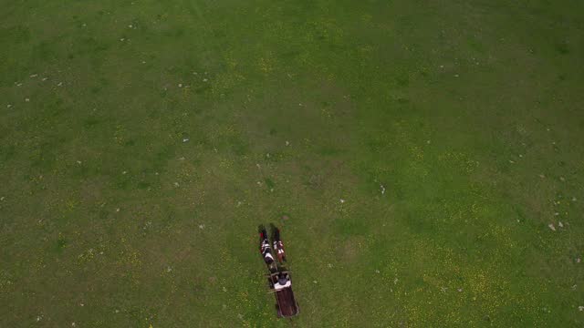 Aerial View of Horse Drawn Carriage Moving in Green Pasture, Birdseye Drone Shot
