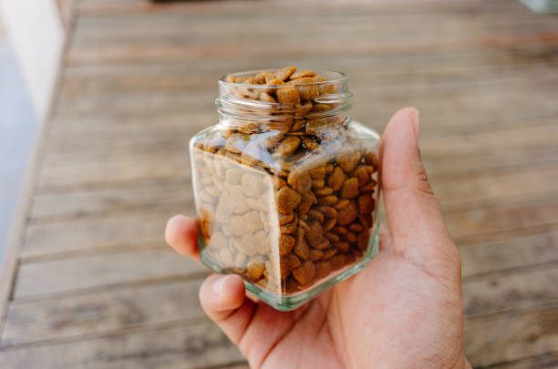istock dog food in glass jar 2148908132