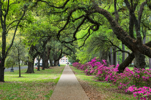 People walk on a path on the Rice University campus in Houston, Texas, USA on a sunny day.