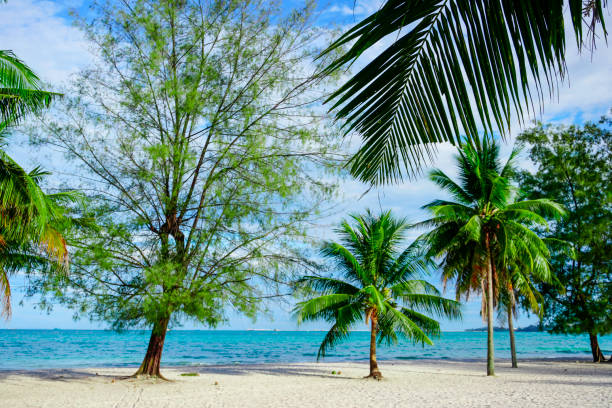 istock Beach in Sihanoukville. Palm trees and blue sea 2148914001