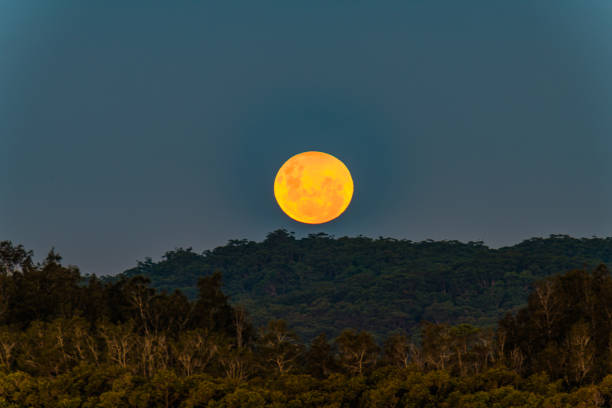 Full moon rising at the waterfront Full Moon Worm Moon rising over the bay with clear skies and a penumbral lunar eclipse at Woy Woy on the Central Coast, NSW, Australia. penumbral lunar eclipse stock pictures, royalty-free photos & images