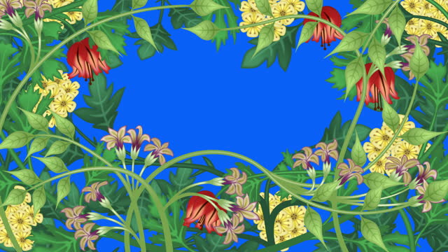 Growing plants, the last 20 seconds is a loop. Flowers and vines animation on blue screen background, with copy space.