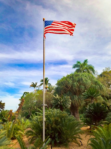 A US flag waves high above the natural vegetation and trees at Fairchild Botanical Garden in Coral Gables, Florida.
