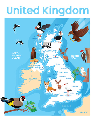 United Kingdom Animals Map